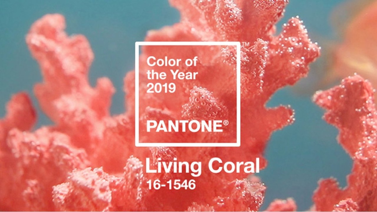 Cor do ano 2019 - Pantone Living Coral - Vitrine Perfeita
